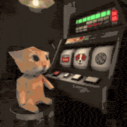 $GAMBACAT